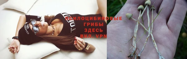 эйфоретик Горно-Алтайск
