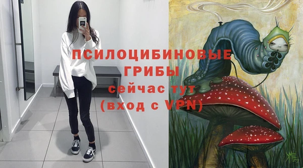 эйфоретик Горно-Алтайск