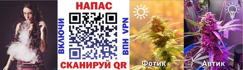 Купить  Калач-на-Дону  Шишки марихуана SATIVA & INDICA 